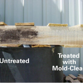 Mold-Clean comparison photo
